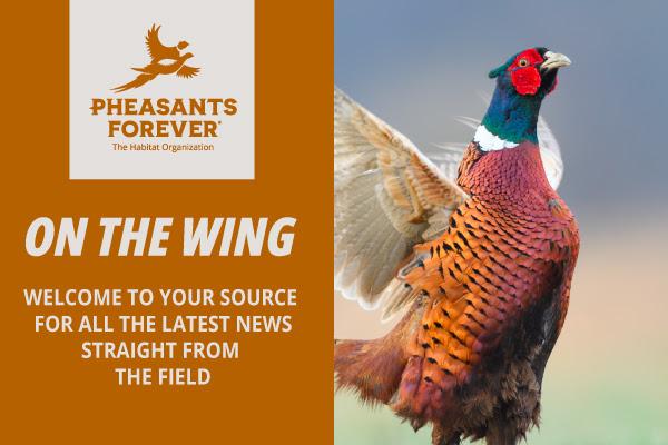 2026 Newsletter